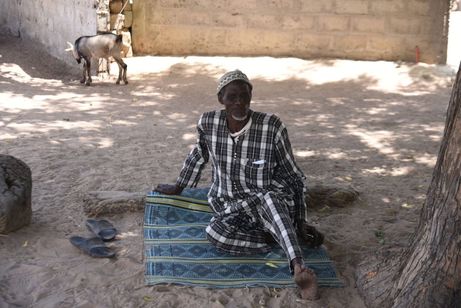 04 / Transition Tour